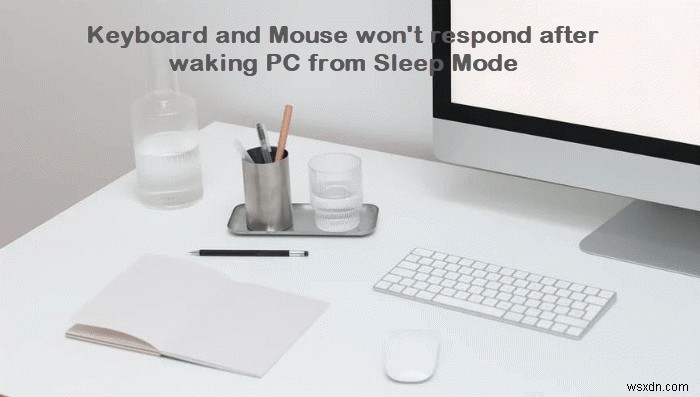 कंप्यूटर को स्लीप मोड से जगाने के बाद कीबोर्ड और माउस प्रतिक्रिया नहीं देंगे 