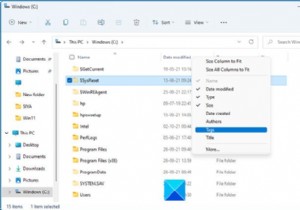 विंडोज 11/10 में एक्सप्लोरर में सभी फोल्डर में स्थायी रूप से कॉलम कैसे जोड़ें 