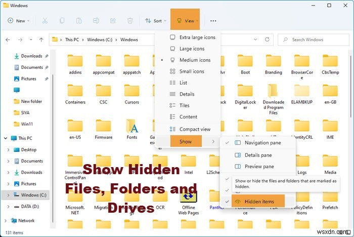 विंडोज 11/10 में हिडन फाइल्स और फोल्डर्स को कैसे दिखाएं? 