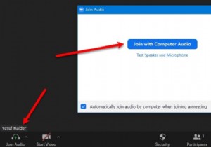 ज़ूम माइक्रोफ़ोन Windows 11/10 . पर काम नहीं कर रहा है 