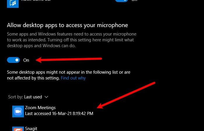 ज़ूम माइक्रोफ़ोन Windows 11/10 . पर काम नहीं कर रहा है 