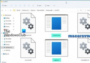 विंडोज 11/10 में mscorsvw.exe क्या है? 