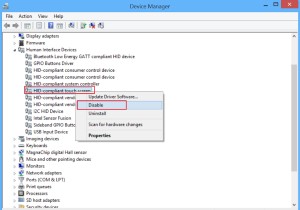 विंडोज 11/10 . में टच स्क्रीन को कैसे निष्क्रिय करें 
