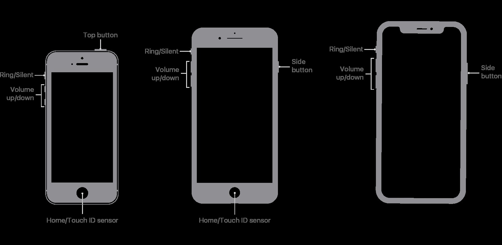 IPhone और iPad पर स्क्रीनशॉट लेने के लिए एक शुरुआती गाइड 