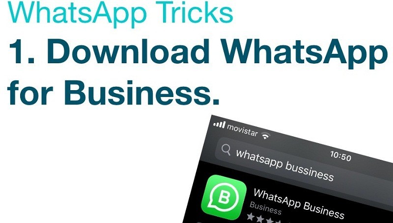 WhatsApp Business कैटलॉग 101：अंतिम गाइड 