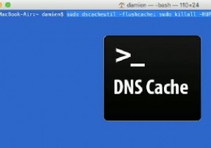अपने मैक पर डीएनएस कैश को कैसे फ्लश करें 