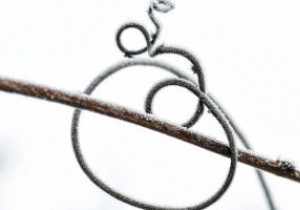 पायथन जबकि लूप:परिचय और स्पष्टीकरण 