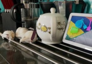 लिनक्स से क्रोमकास्ट और गूगल होम में ऑडियो कैसे स्ट्रीम करें 