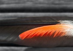 LXDE रिव्यू:लाइट एज़ ए फेदर 