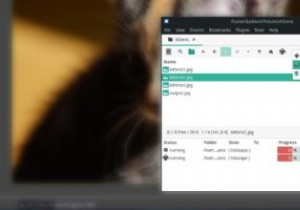 Linux में SpaceFM के साथ आसानी से एकाधिक फ़ाइलें कैसे खोलें 