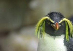 11 कारणों से आपको लिनक्स का उपयोग करना सीखना चाहिए 