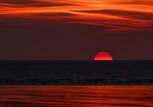 Android पर सूर्यास्त के समय सक्रिय करने के लिए डार्क मोड को कैसे शेड्यूल करें 