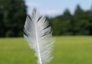 विंडोज के लिए 7 लाइटवेट ब्राउजर 