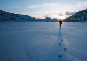 कैसे देखें कि कौन आपको ऑनलाइन ट्रैक कर रहा है (और इसे रोकें) 