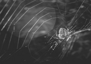 डार्क वेब तक कैसे पहुंचें और ब्राउज़ करें