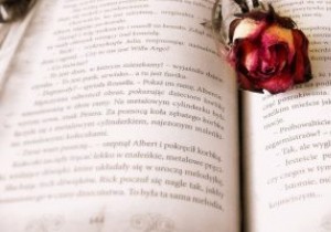 सोशल मीडिया पर  कहानियां  क्या हैं? 