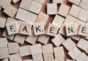 क्या फेसबुक को यूजर्स को फेक न्यूज को परिभाषित करने देना चाहिए? 