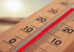 माइक्रोसॉफ्ट वर्ड में डिग्री सिंबल कैसे डालें