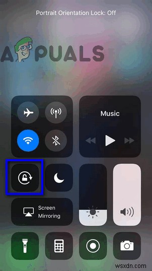 आपके iOS डिवाइस की स्क्रीन क्यों नहीं घूम रही है और इसे कैसे ठीक करें? 