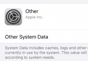 ठीक करें:iPhone पर अन्य संग्रहण