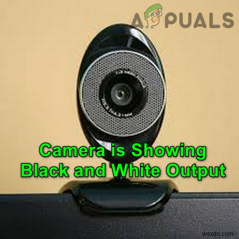 ब्लैक एंड व्हाइट मोनोटोन में कैमरा आउटपुट कैसे ठीक करें? 