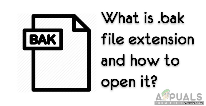 क्या है: .bak  फ़ाइल एक्सटेंशन और इसे कैसे खोलें? 