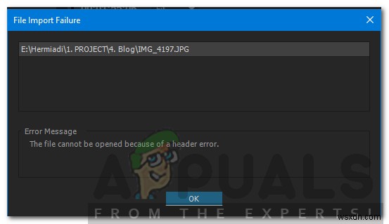 Adobe Premiere में  हैडर त्रुटि के कारण फ़ाइल नहीं खोली जा सकती  को कैसे ठीक करें? 