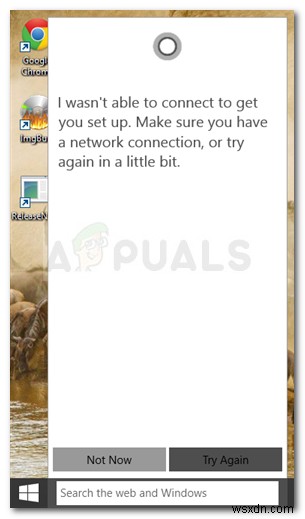ठीक करें:Cortana इंटरनेट से कनेक्ट नहीं हो रहा है