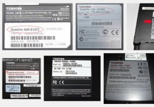 एसएम बस नियंत्रक और उसके चालक 