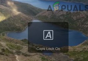 विंडोज 10 में स्क्रीन नोटिफिकेशन पर कैप्स लॉक को कैसे बंद करें? 