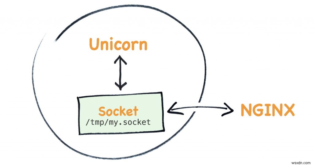 यूनिकॉर्न nginx से कैसे बात करता है - रूबी में यूनिक्स सॉकेट्स का परिचय 