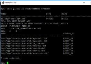 Oracle 11g I/O अंशांकन अवलोकन 