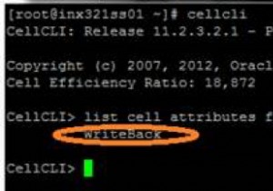 Oracle Exadata फ्लैश कैश सुविधा 