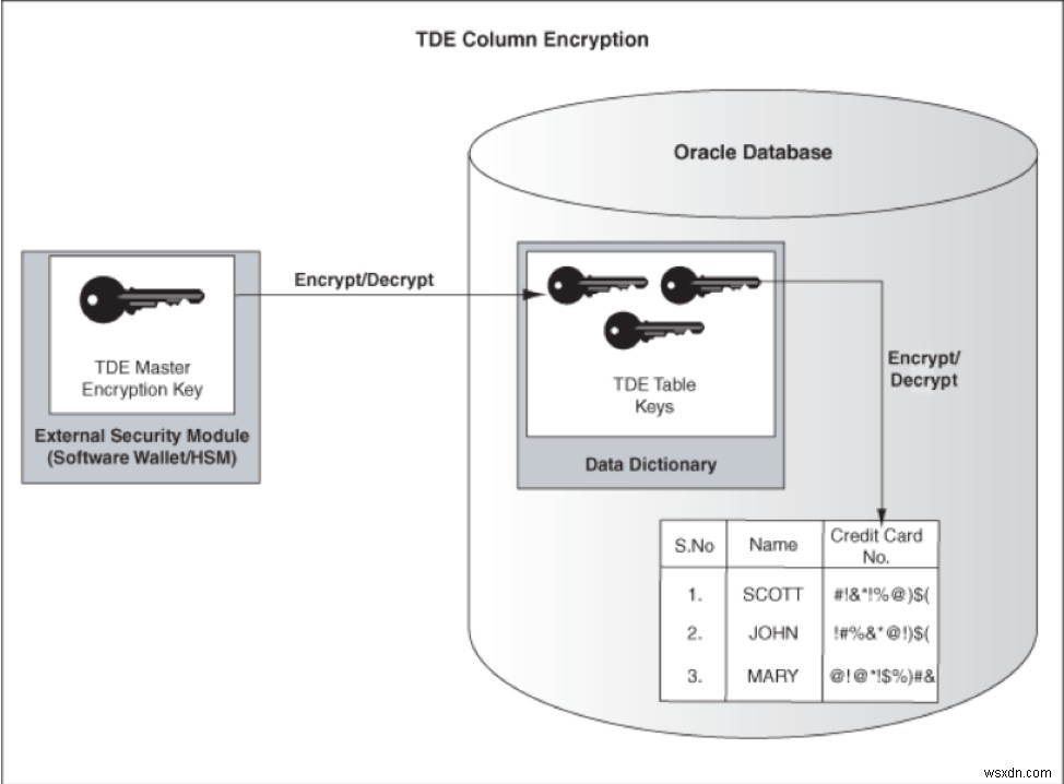 Oracle EBS के साथ पारदर्शी डेटा एन्क्रिप्शन 