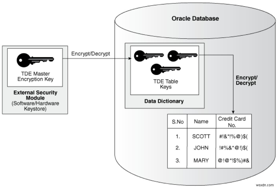 पारदर्शी डेटा एन्क्रिप्शन का उपयोग करके Oracle डेटाबेस को सुरक्षित करें 