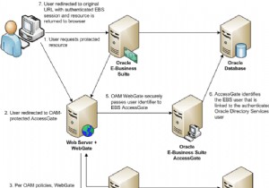 ई-बिजनेस सूट में Oracle एक्सेस मैनेजर SSO सेट करें 