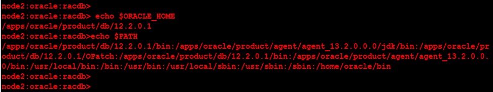 क्लस्टर और डेटाबेस बायनेरिज़ के लिए Oracle v18c ग्रिड इन्फ्रास्ट्रक्चर को फिर से जोड़ना 