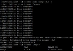MongoDB को डॉकर कंटेनर के रूप में तैनात करें 