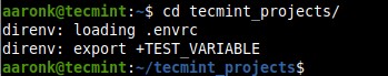 Direnv - Linux में प्रोजेक्ट-विशिष्ट पर्यावरण चर प्रबंधित करें 