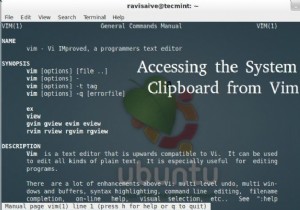 टर्मिनल से विम के कई उदाहरणों में क्लिपबोर्ड सामग्री तक पहुंचना 