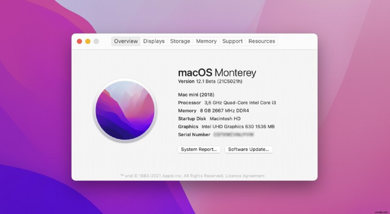 macOS मोंटेरे अपडेट के बाद खोई हुई फाइलों को कैसे रिकवर करें