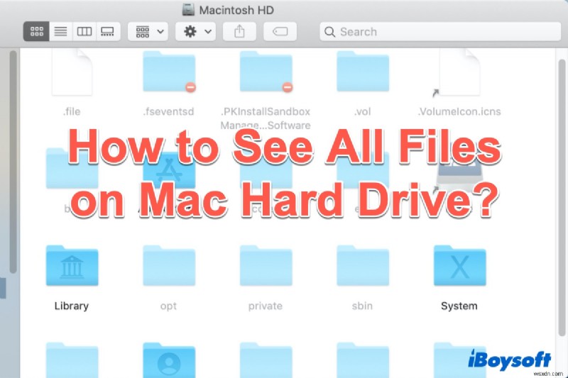 मैक हार्ड ड्राइव पर सभी फाइलों को कैसे देखें (छिपी हुई फाइलों सहित)!