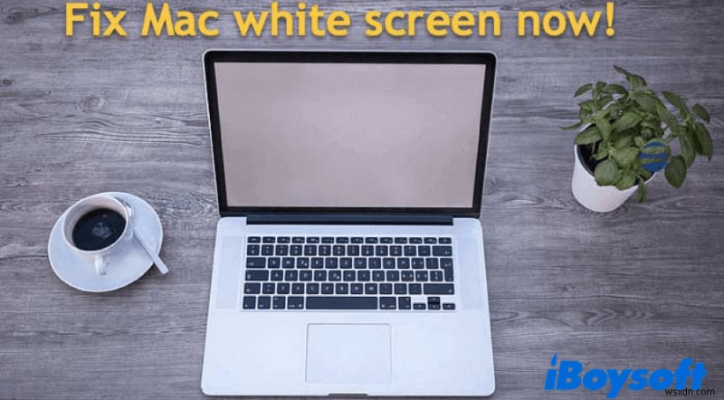 स्टार्टअप पर मैक व्हाइट स्क्रीन को कैसे ठीक करें?
