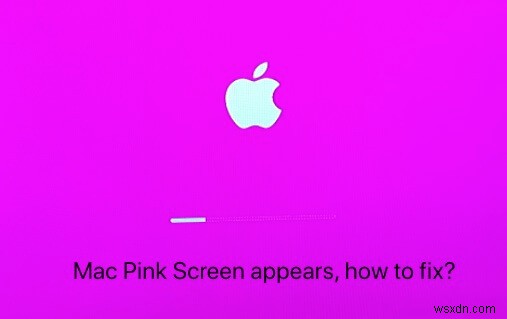 मैक/मैकबुक पिंक स्क्रीन ऑफ डेथ को तुरंत ठीक करें