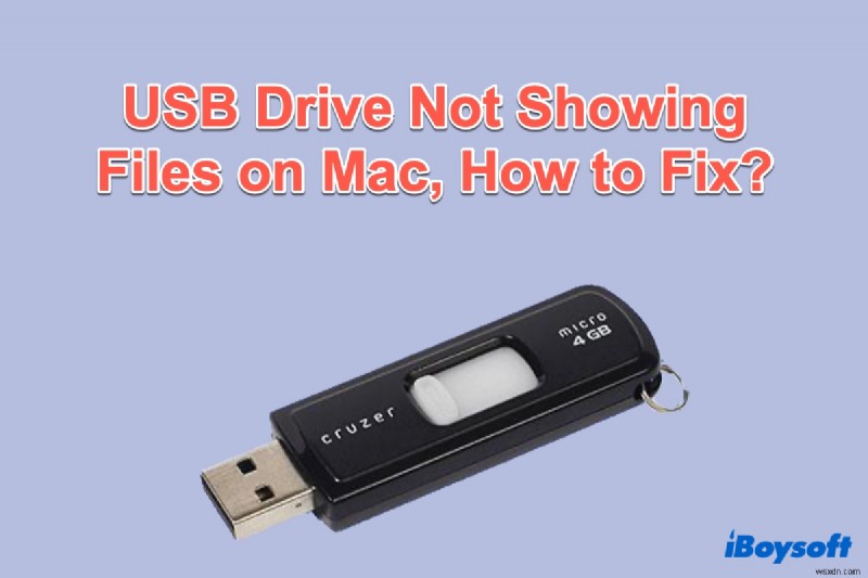 USB ड्राइव Mac पर फ़ाइलें नहीं देख सकते, कैसे ठीक करें?