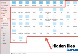 मैक को हिडन फाइल्स कैसे दिखाएं (2022 में व्यापक ट्यूटोरियल)