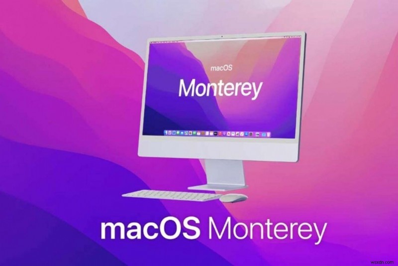 Mac पर MacOS Monterey इंस्टाल नहीं कर सकते? इन समाधानों को आजमाएं