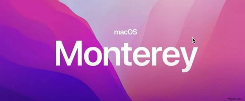 MacOS Monterey को कैसे ऑप्टिमाइज़ करें