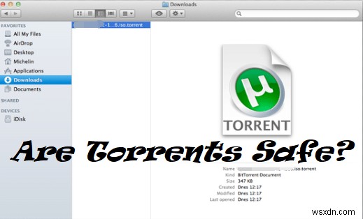 क्या टोरेंट सुरक्षित हैं? (2022 में सुरक्षित उपयोग गाइड)