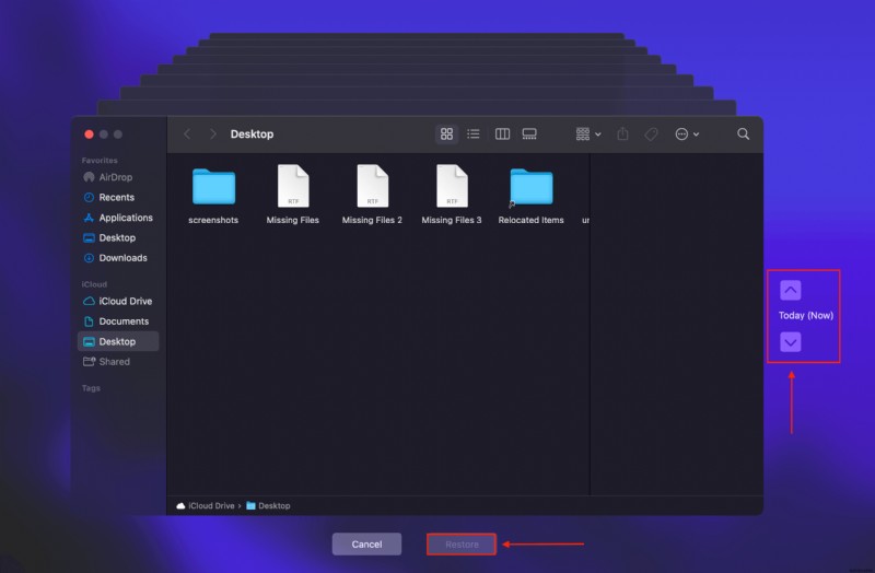 मैक पर गायब हुई डेस्कटॉप फ़ाइलों को कैसे पुनर्प्राप्त करें:सभी तरीके 